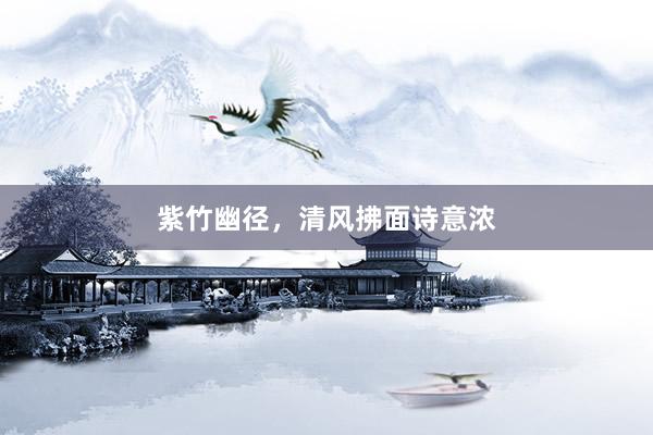紫竹幽径,清风拂面诗意浓